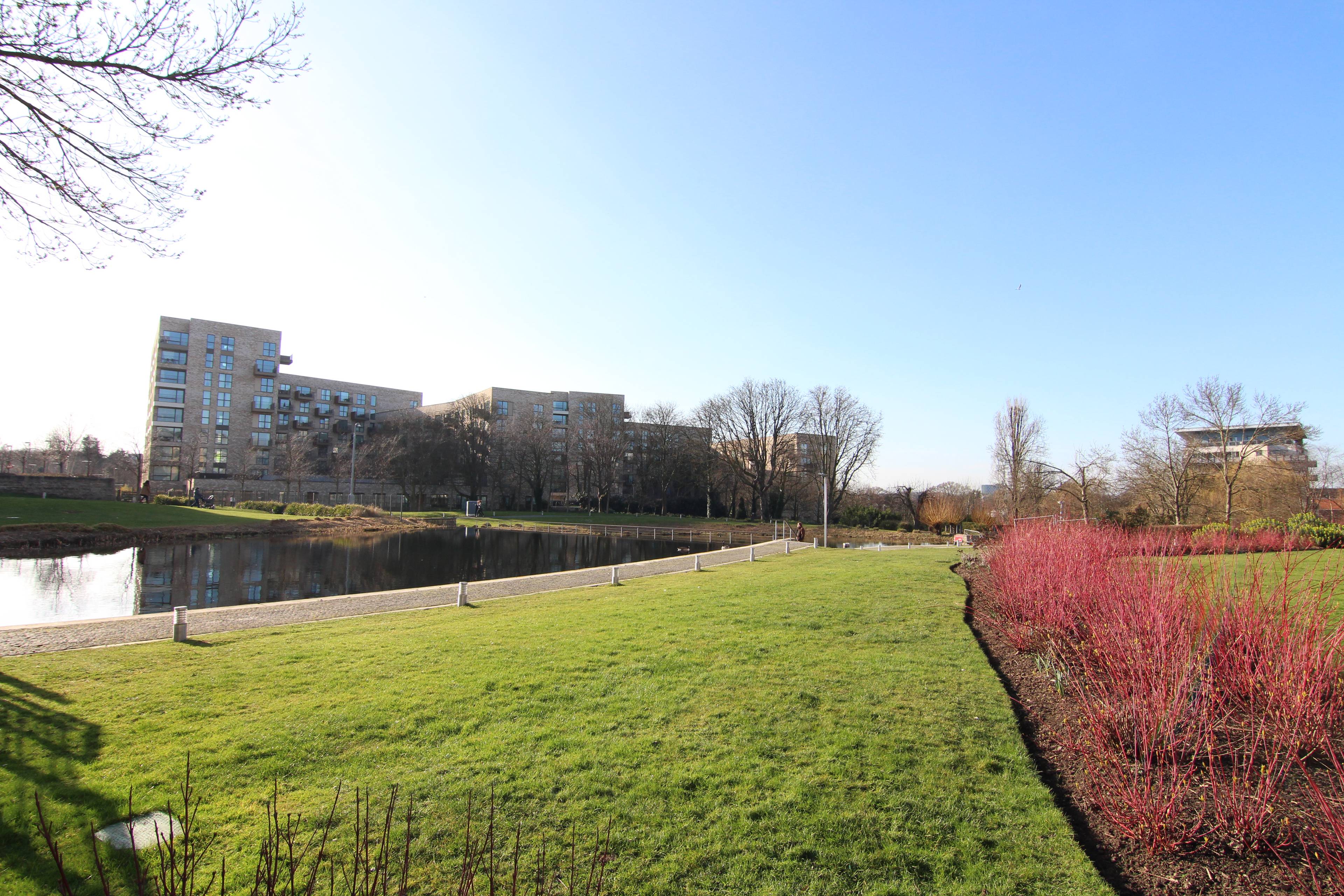 Communal Gardens