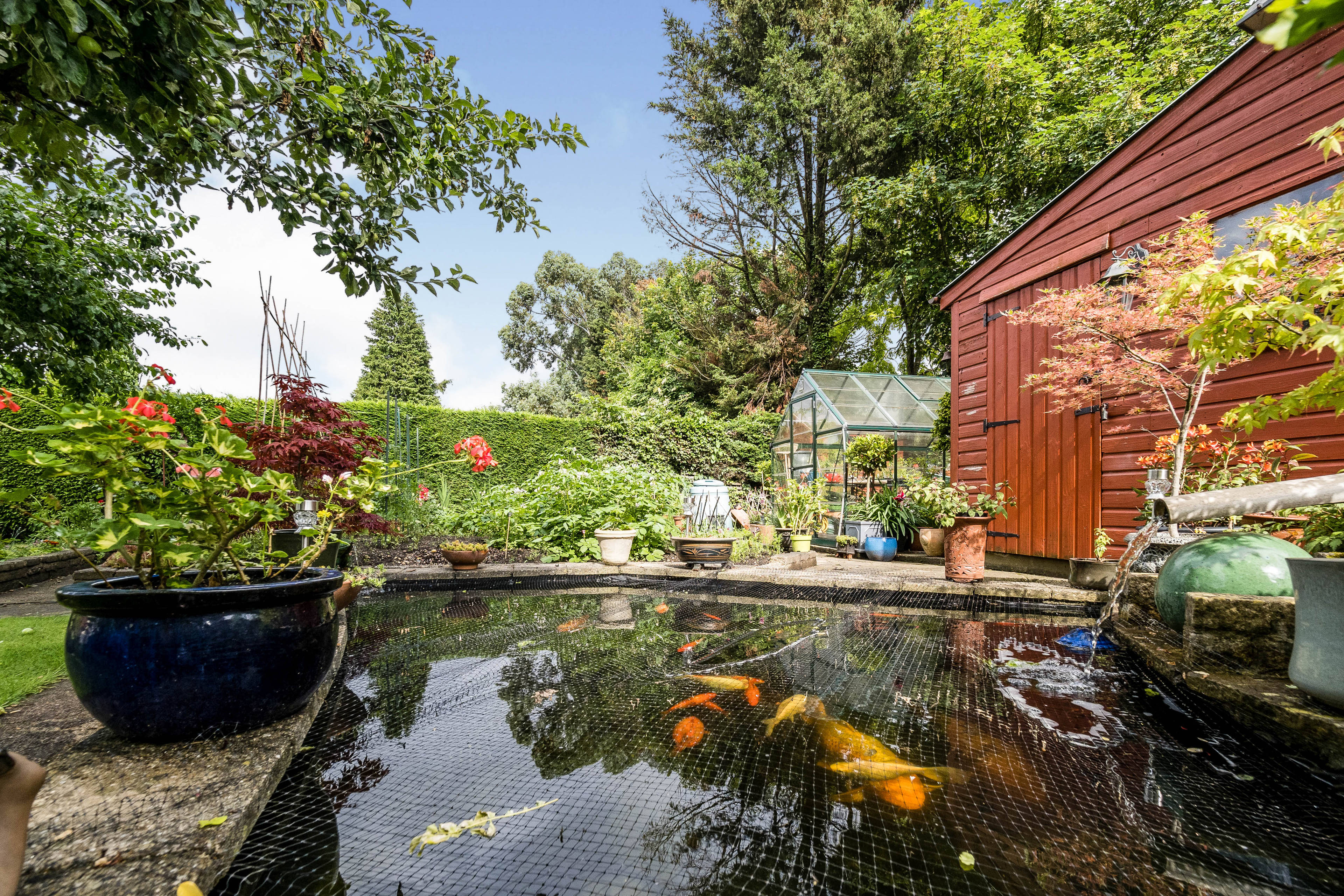 Pond