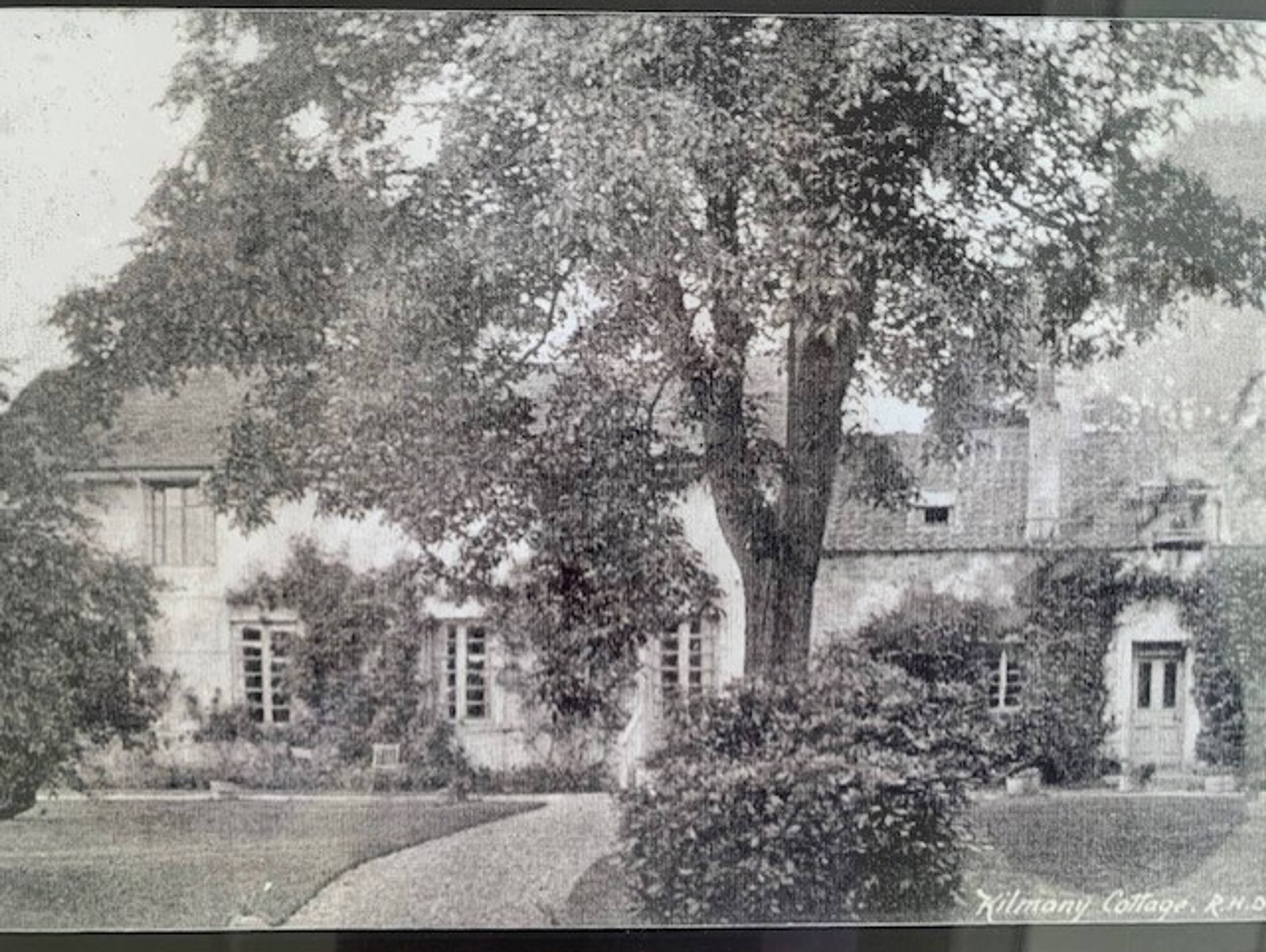 View Of The Property
