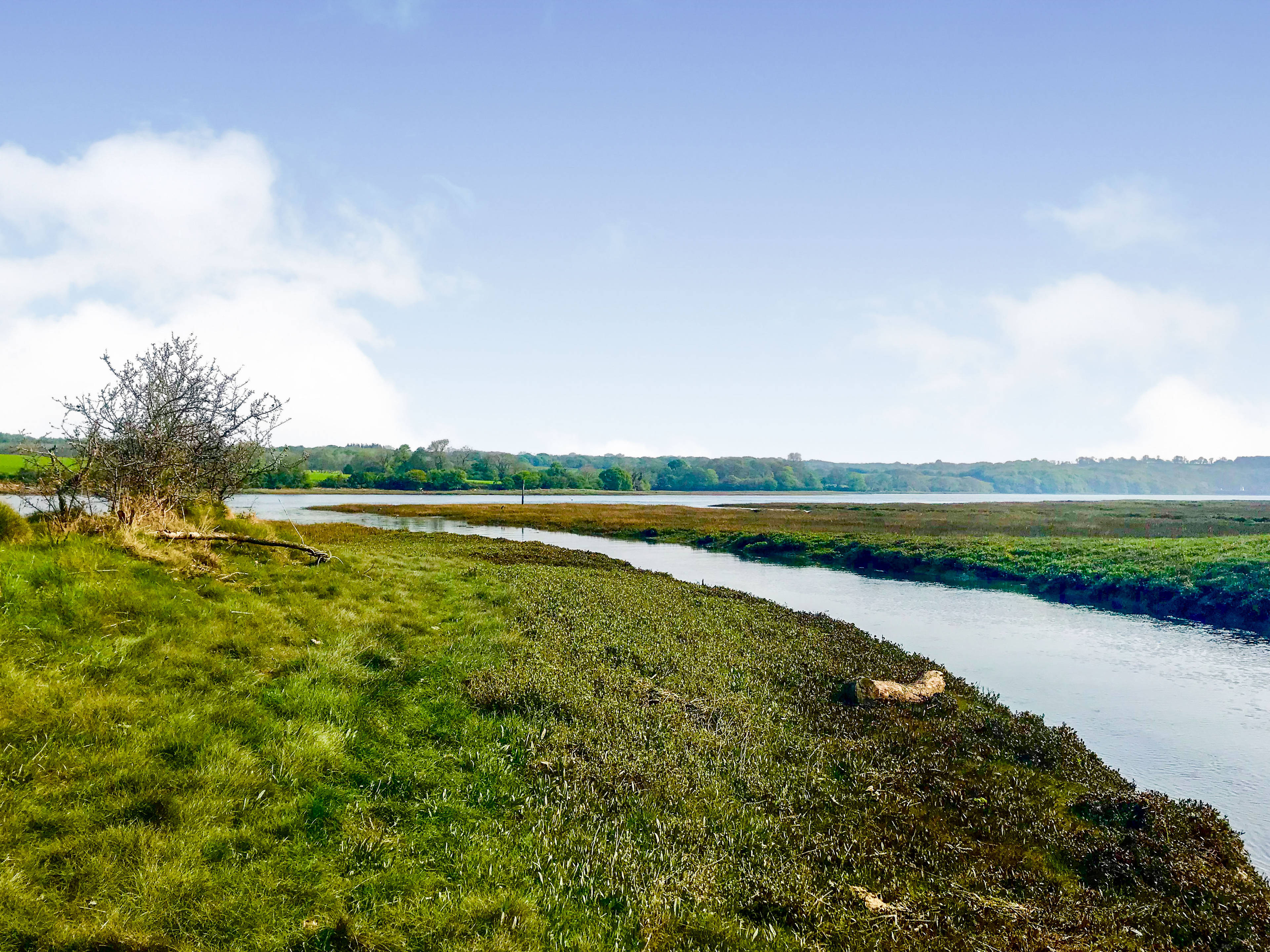 Nearby River