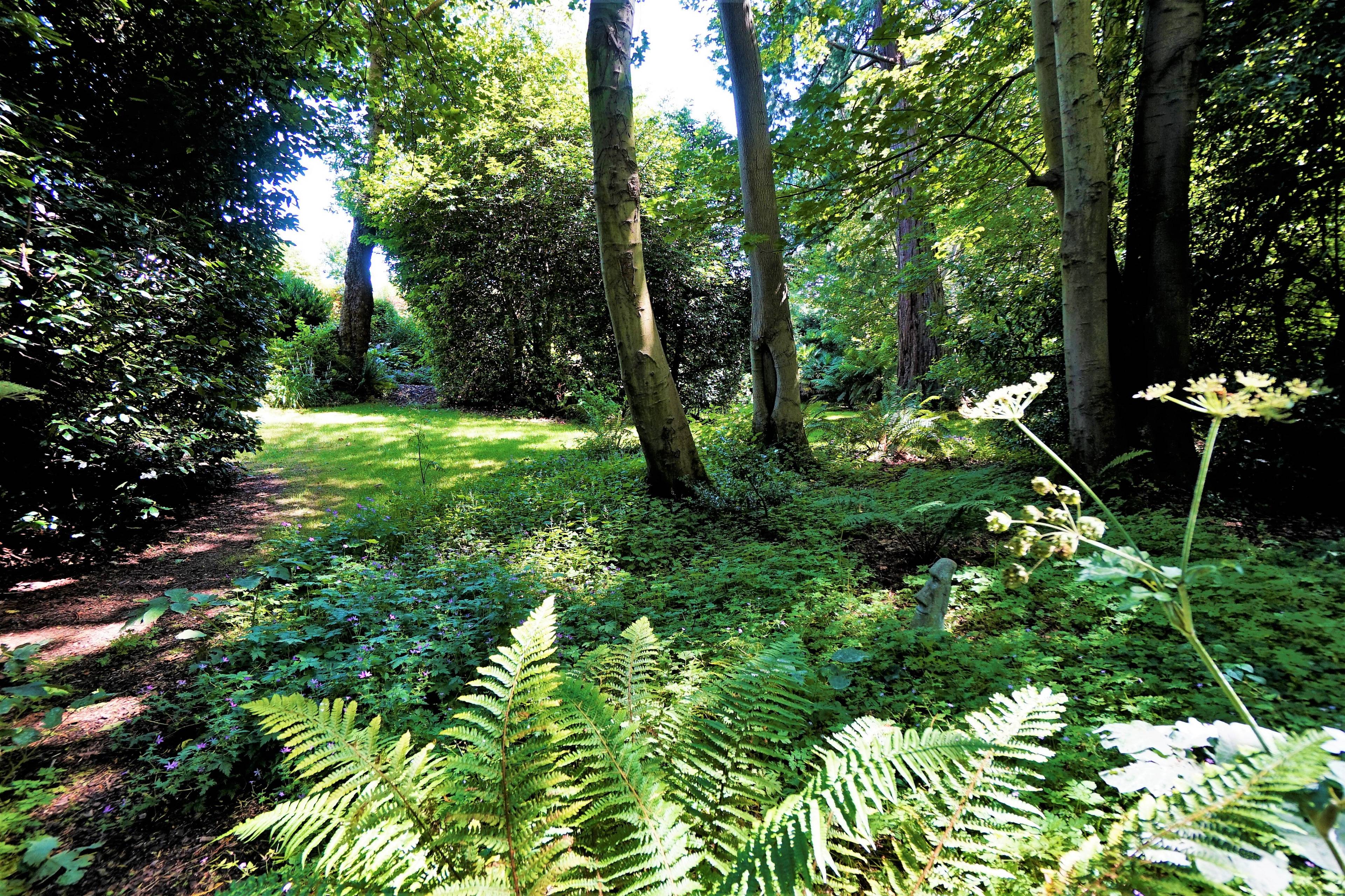 Woodland