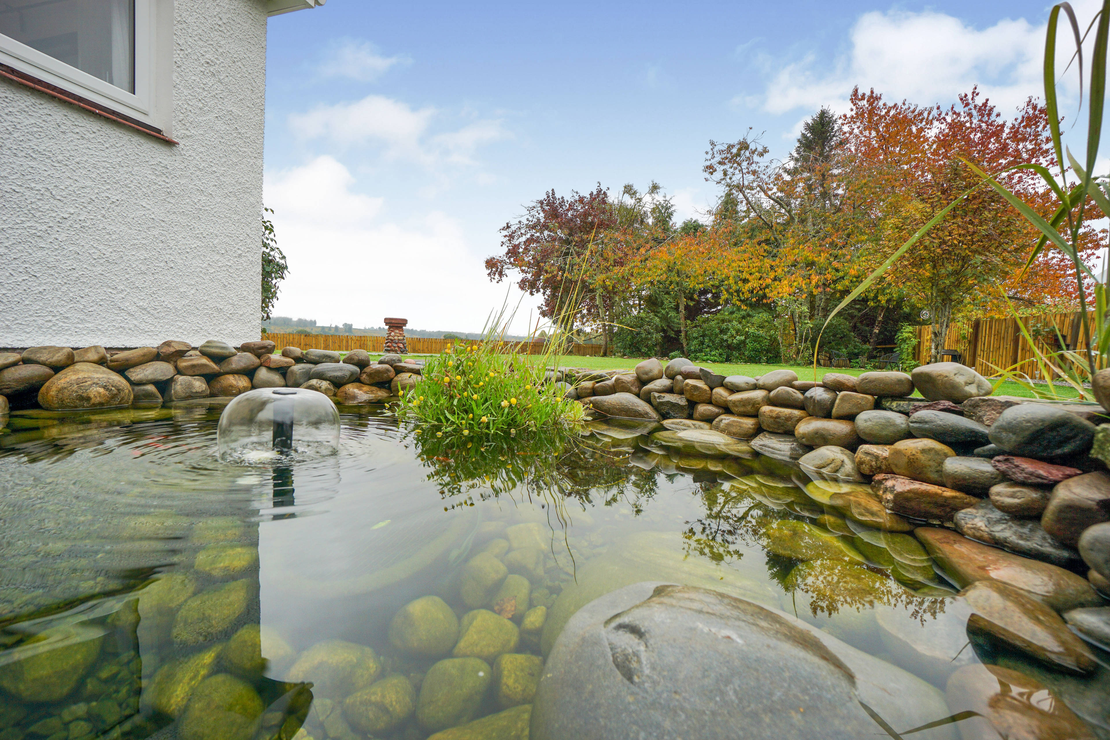 Pond