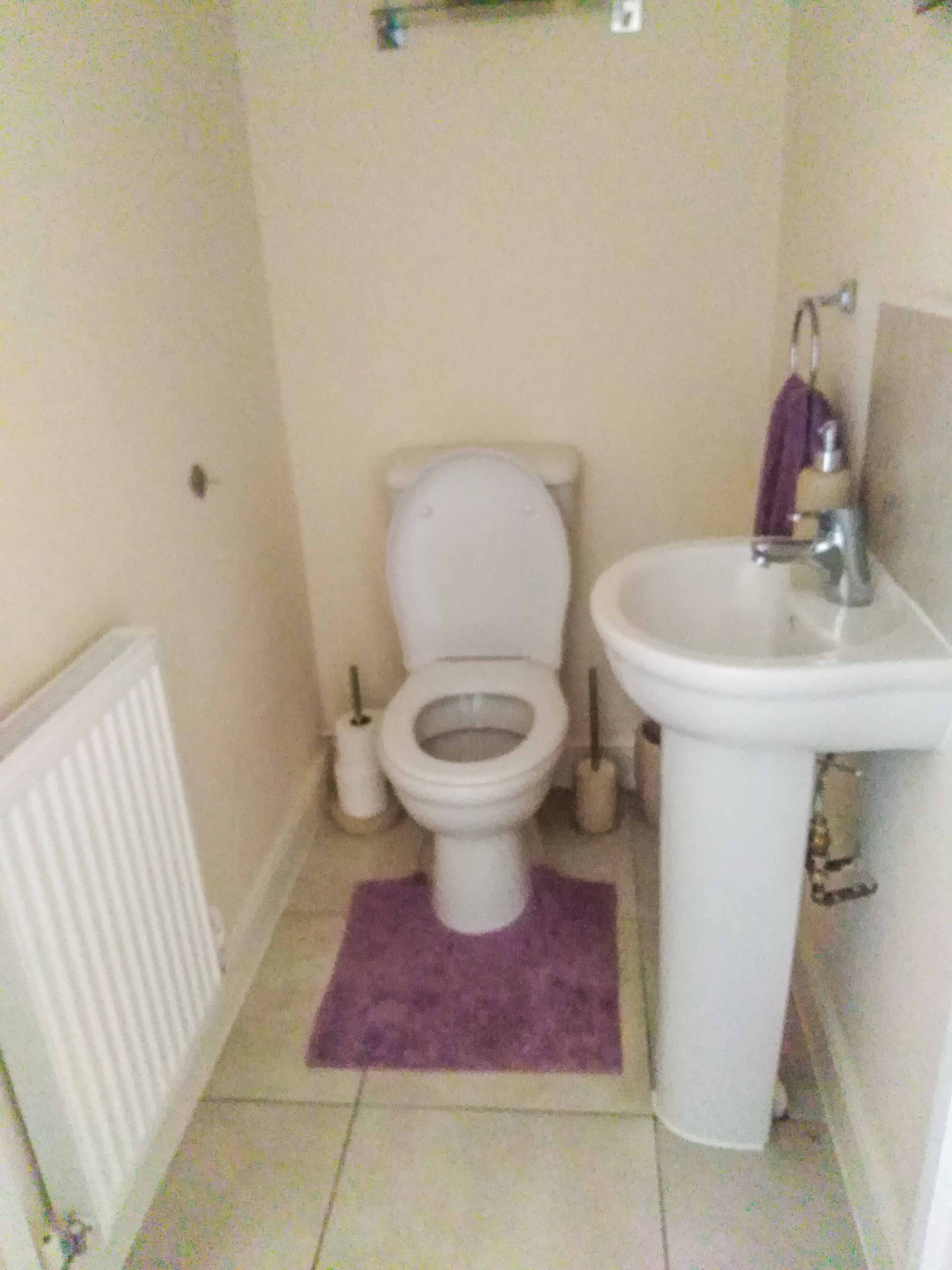 Downstairs Cloakroom