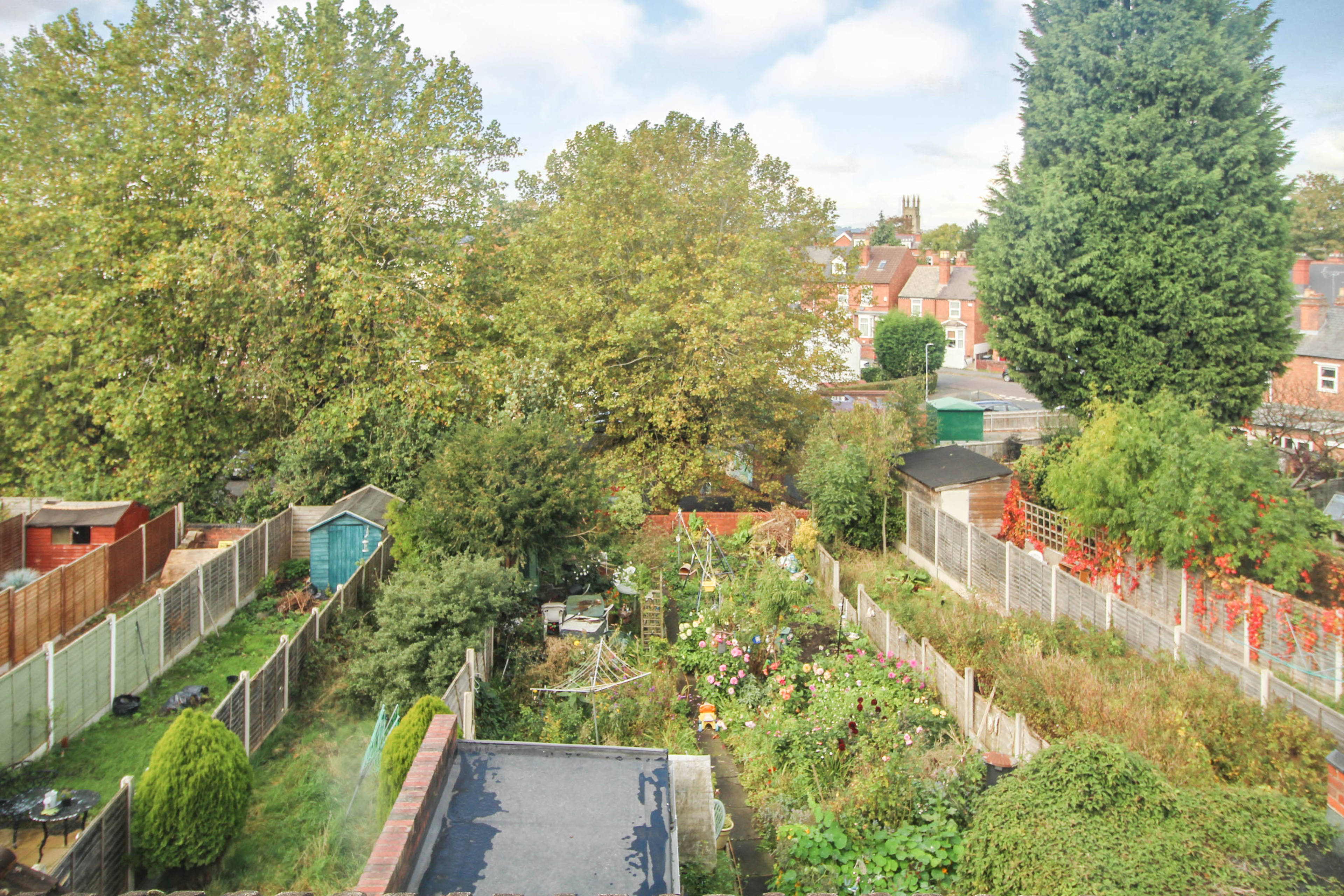 Garden
