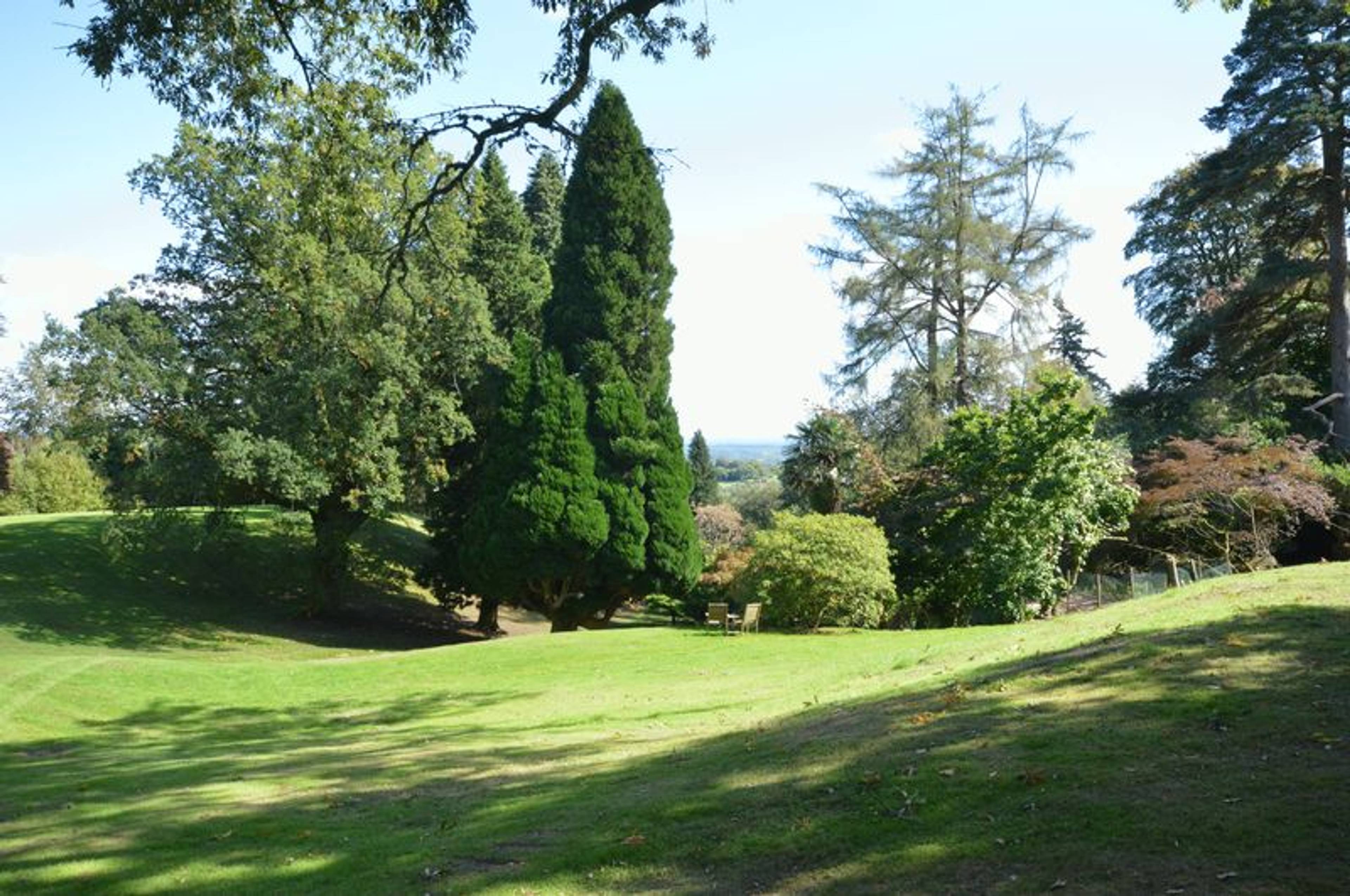 Grounds