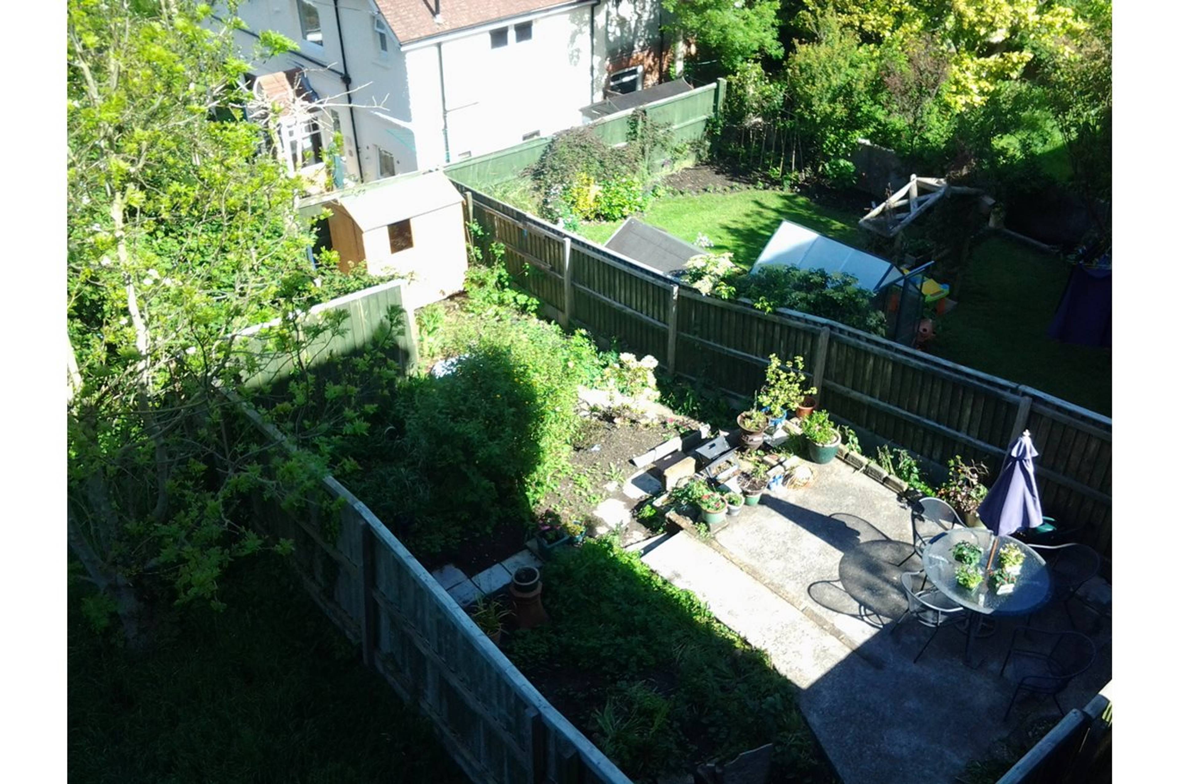 Mature Garden