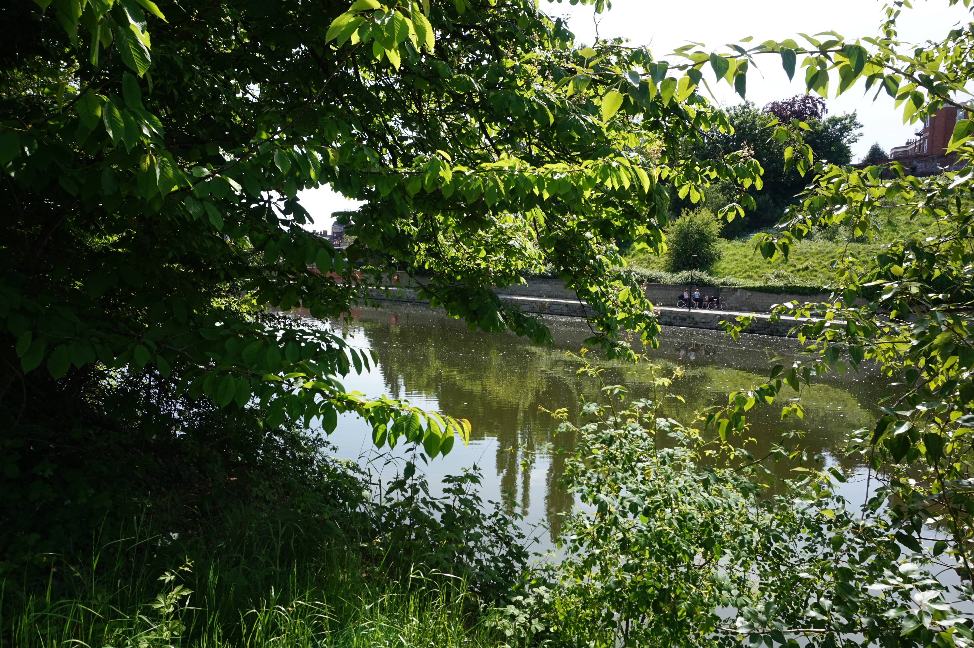 Nearby River