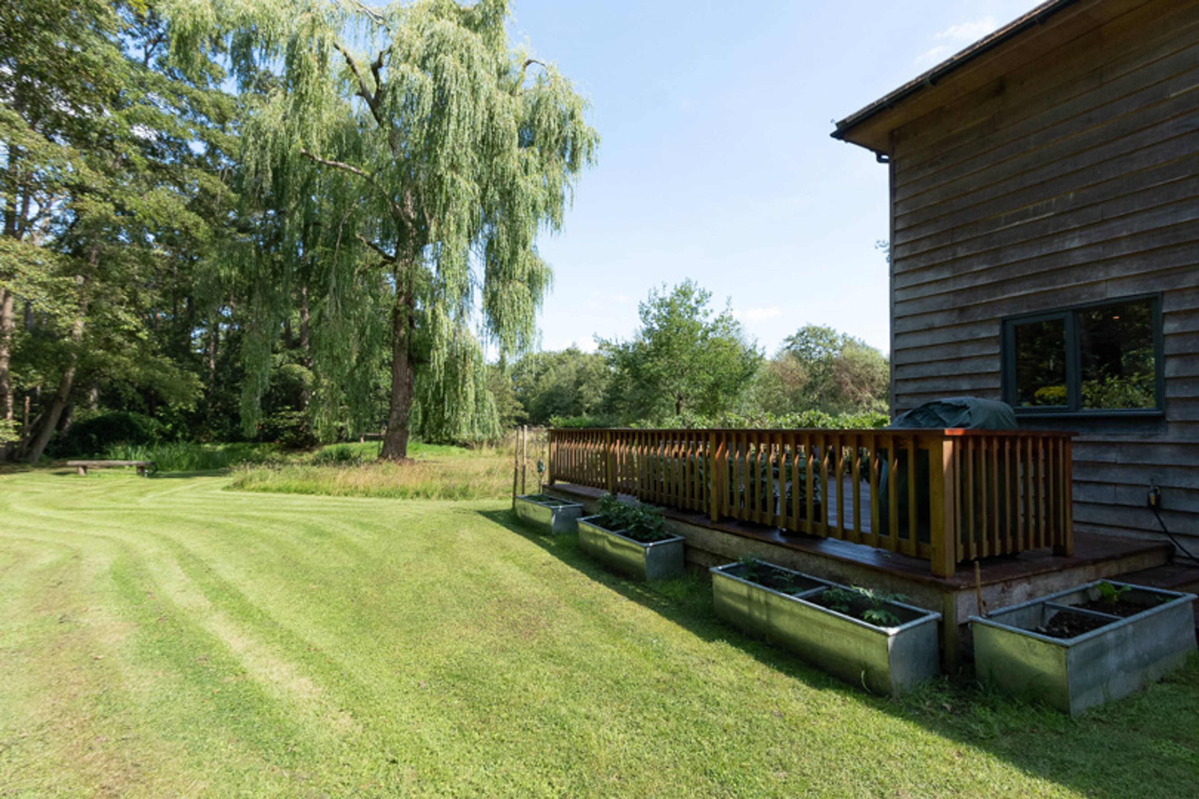 Side Garden