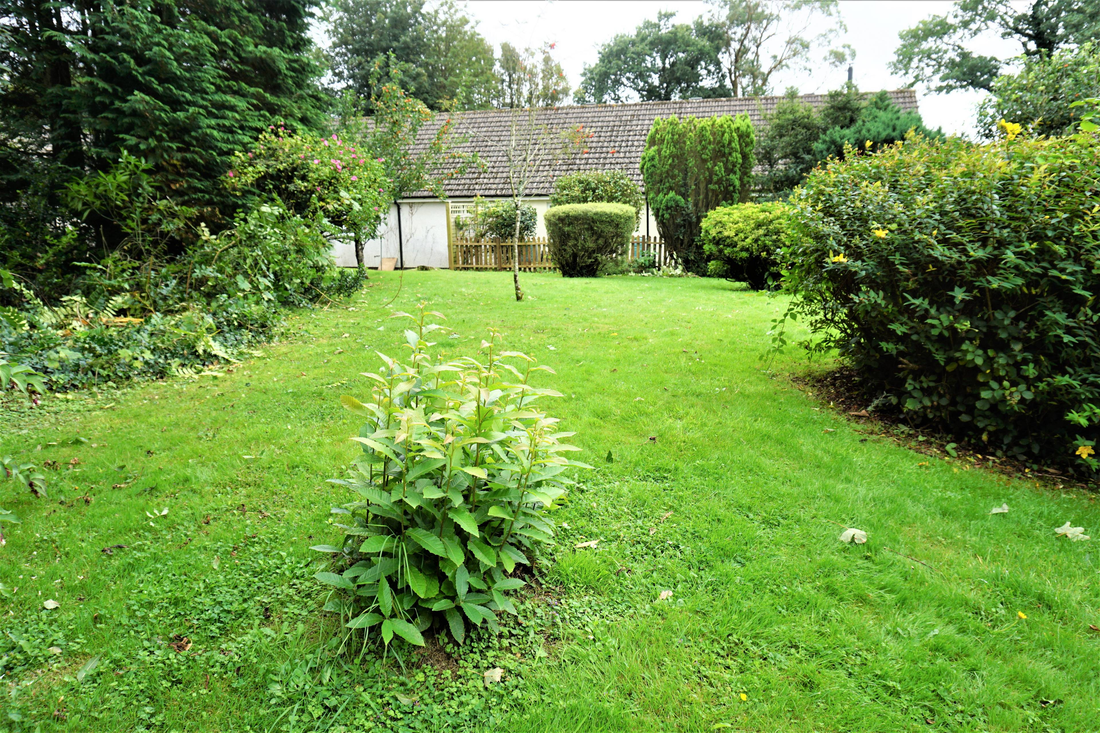 Communal Gardens