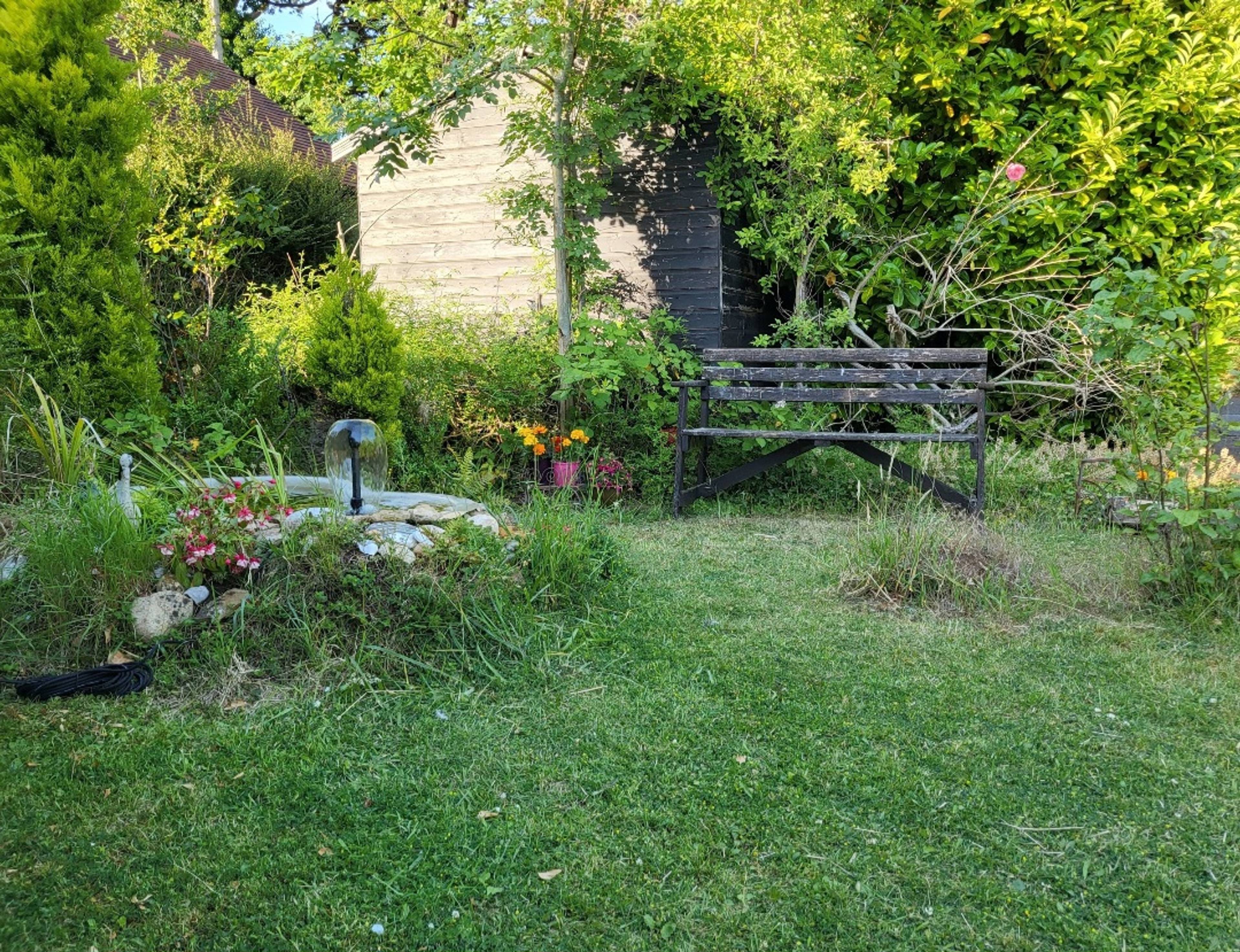 Shed