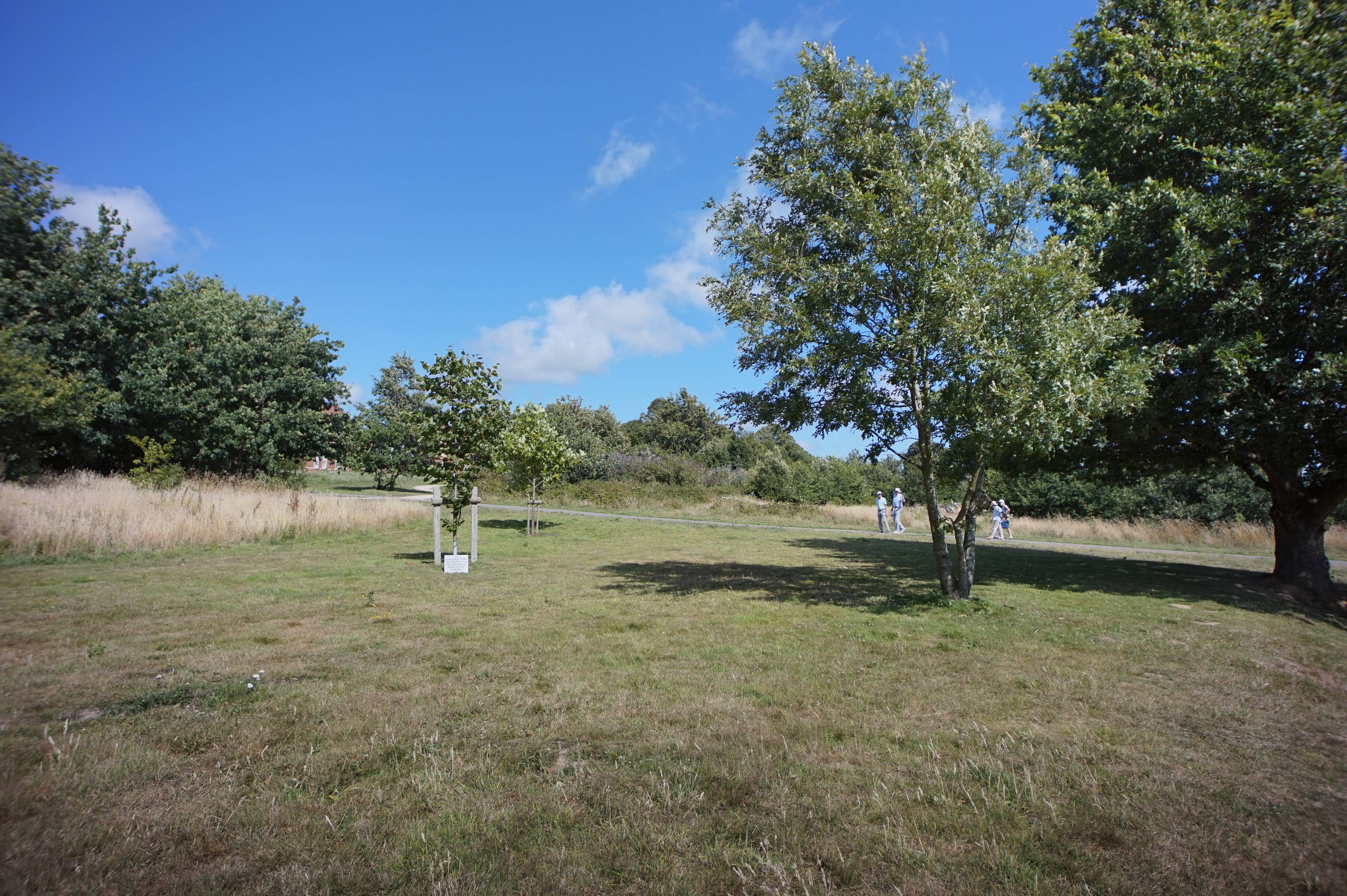 Local Area