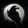 TopUp Night Crows - Link Logo