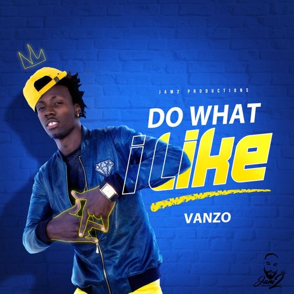 Jam2 Productions x Vanzo - Do What I Like (2019) Album