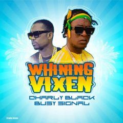 Charly Black x Busy Signal - Whining Vixen (2022) Single
