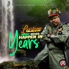 Luciano - What Never Happen in Years (2022) Single
