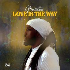Medisun - Love Is The Way (2022) Single