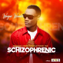 Wayne Wonder - Schizophrenic (2022) Album