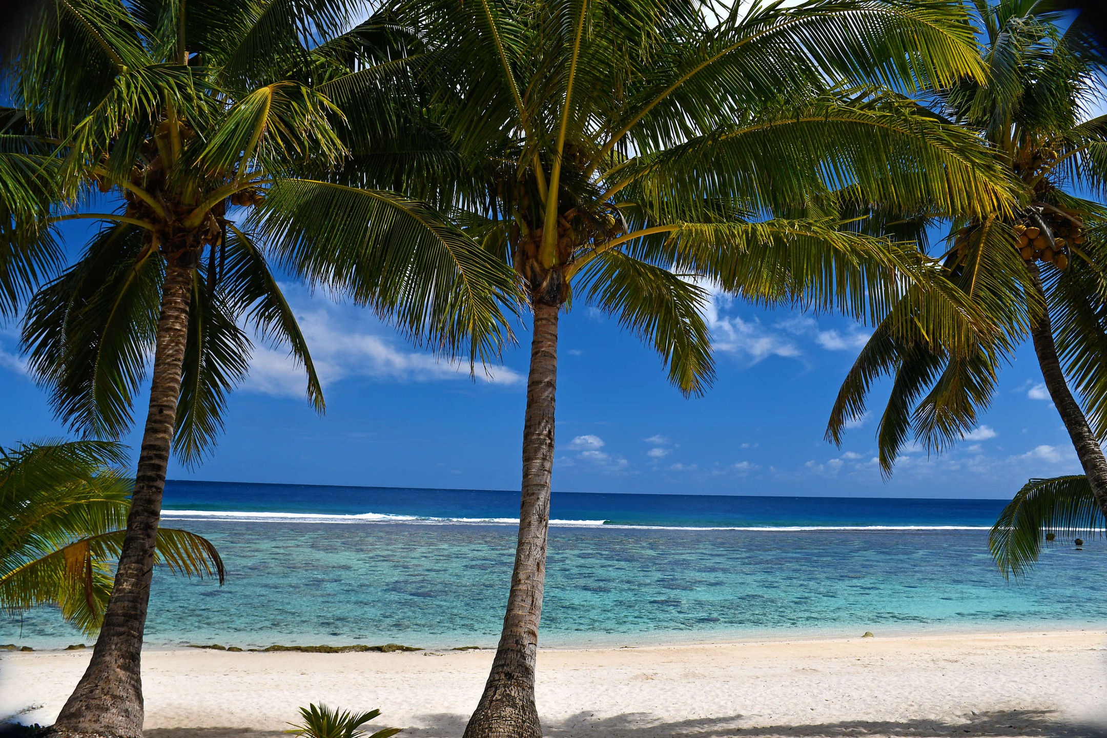 _DSC0096 Rarotonga