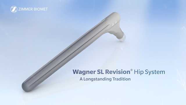 Wagner SL Revision Hip System