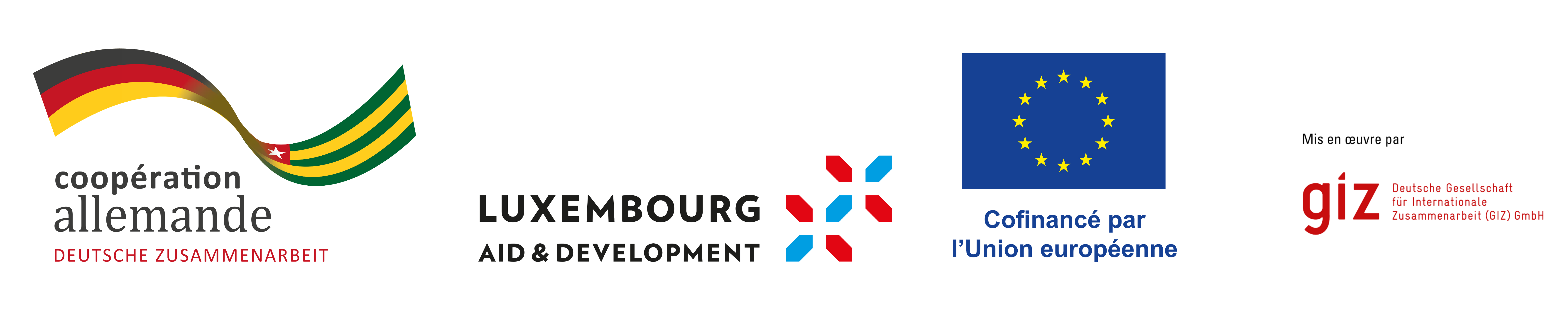 Deutsche Gesellschaft für Internationale Zusammenarbeit (GIZ) GmbH