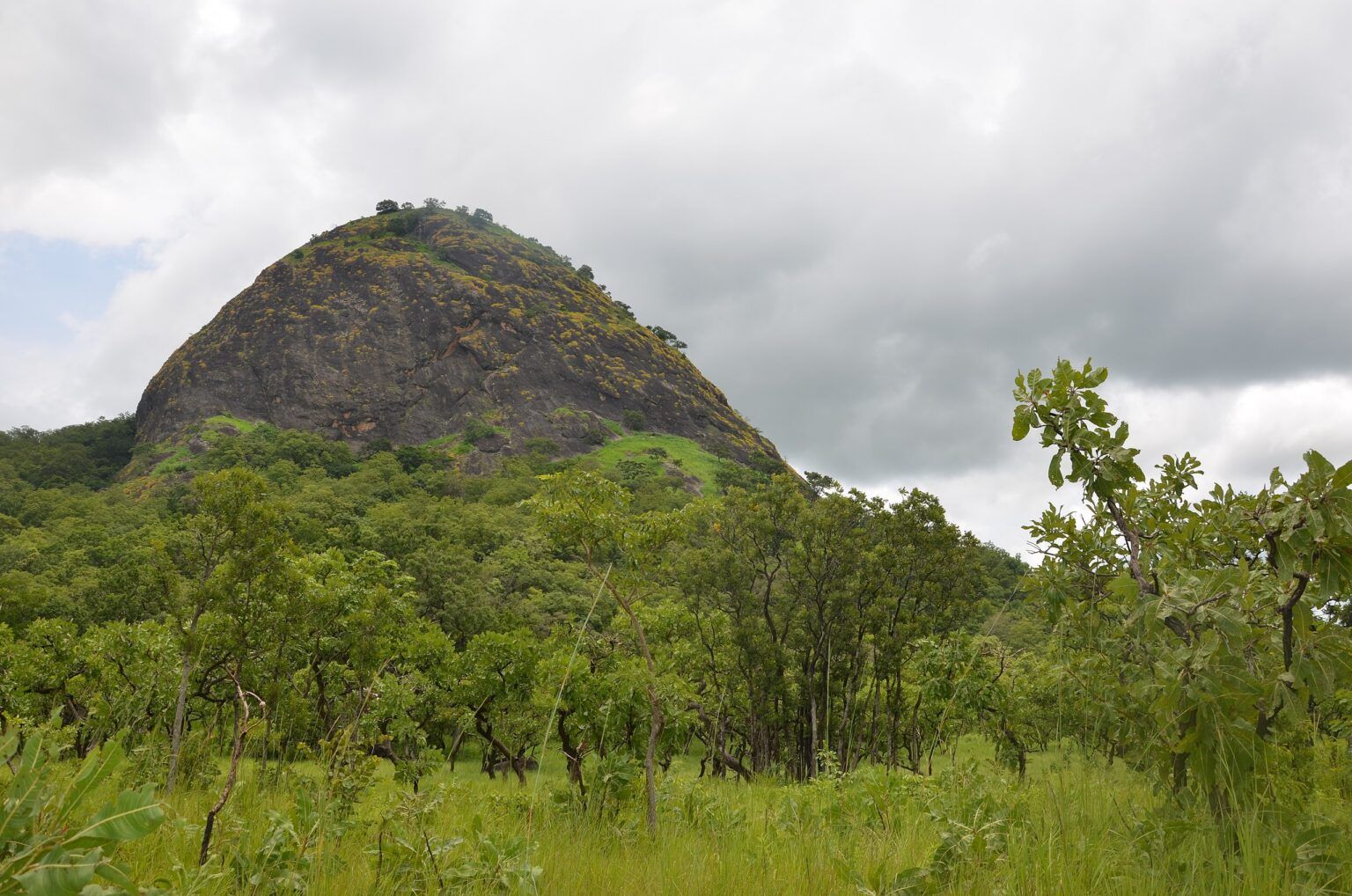 Fazao-Malfakassa National Park