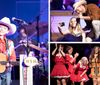 Incredible Performances at the Grand Ole Opry Country Music Show