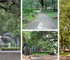 The Savannah Stroll Collage