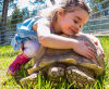 Girl and Tortise at Branson's Promised Land Zoo