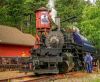 Experience the 1880 Train: A 19th Century Train Ride Tour