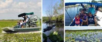 Experience Orlando Airboat Eco Tours