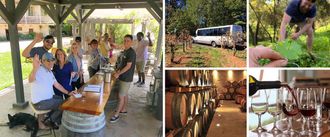 El Dorado County Wine & Harvest Tour in Apple Hill Collage