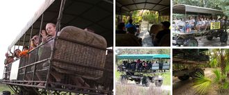 Billie Swamp Safari Twilight Buggy Tour Collage