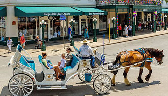 Travis Park Carriage Tour