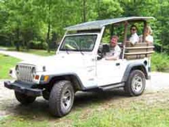 Waterfall Jeep Tour