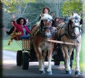 Twelve Passenger Hay Wagon