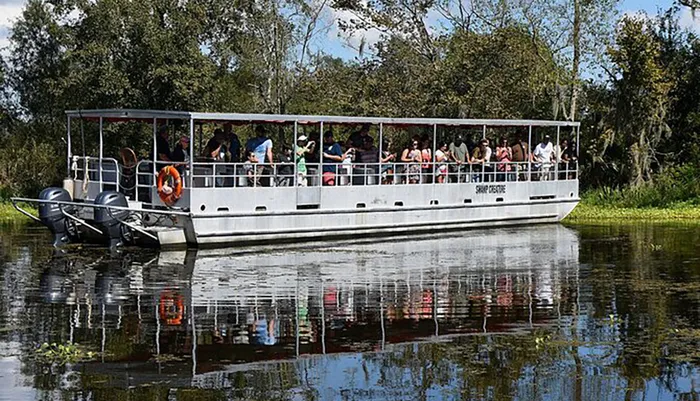 Guided Boat Tour of New Orleans Bayou and Wildlife Photo