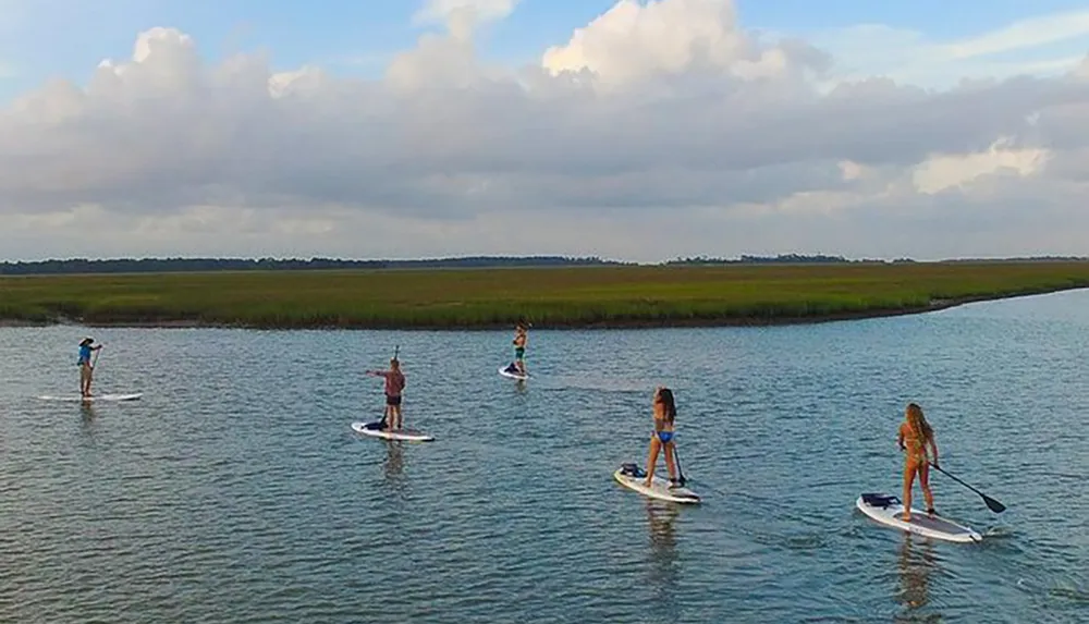 Five people are stand-up paddleboarding on a calm waterway flanked by grassy marshlands