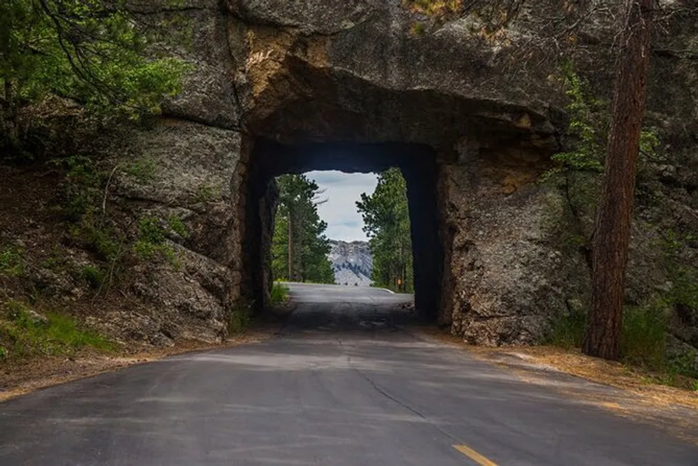 The image shows a road passing through a tunnel carved into rock in a natural setting with trees and clear skies visible in the background