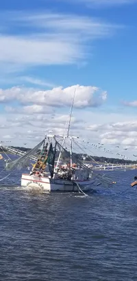 Boat in the Water