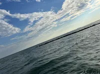Open Water