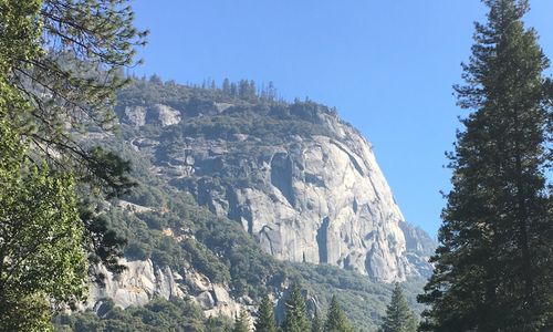 Yosemite Valley Tour from Lake Tahoe