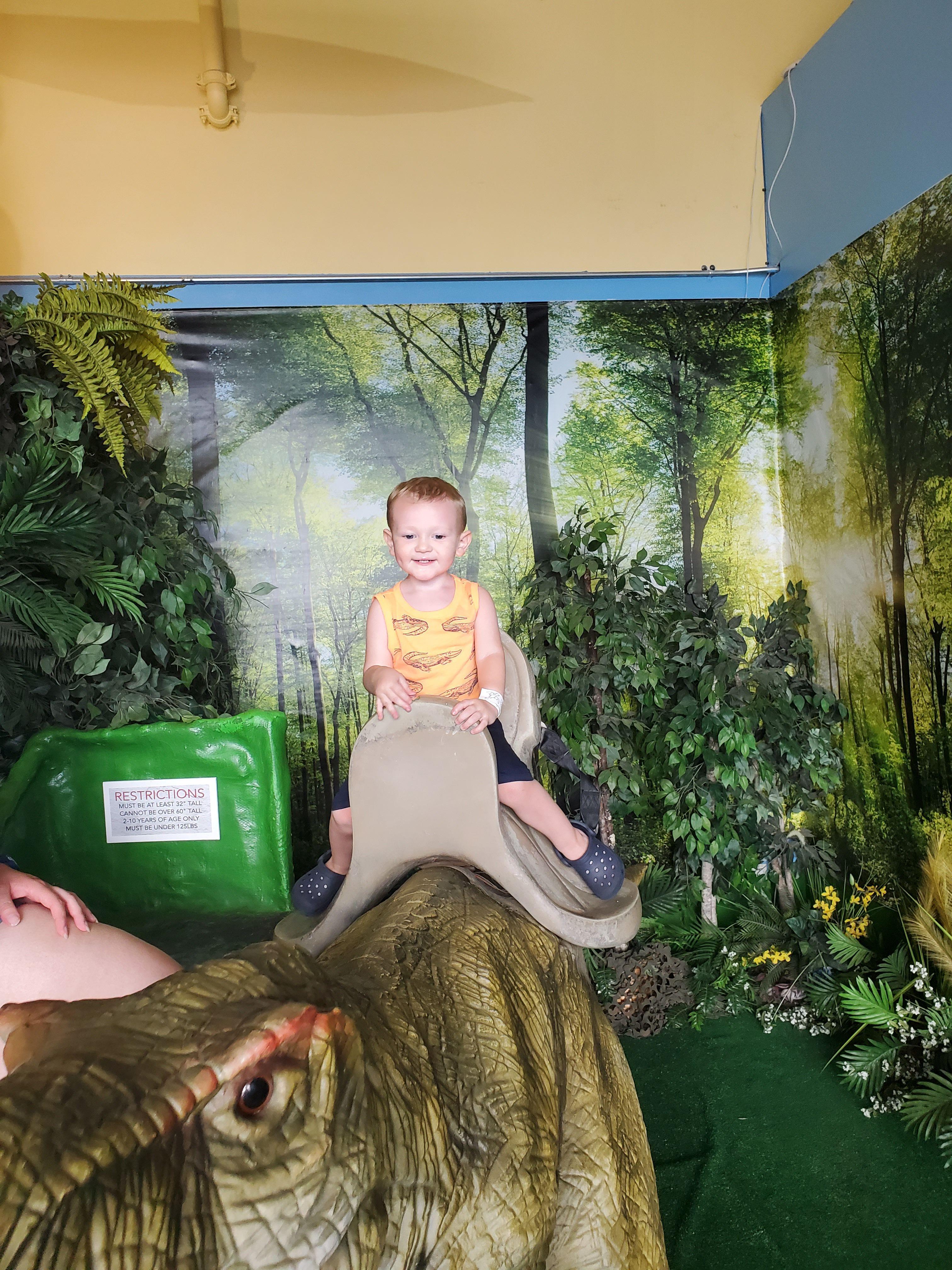 Photo on the Dinosaurs