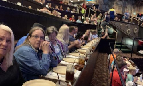 Customer Vacation Photo - Dinner Show