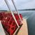 Paddlewheel