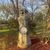 Shirley's Point