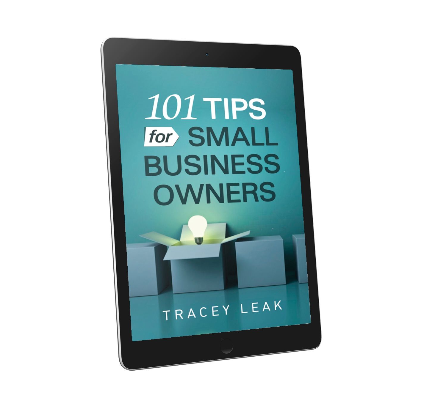 101 Tips for Small Business Owners ebook cover