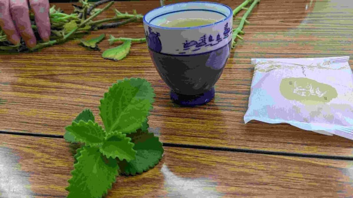 (摘下的左手香葉)