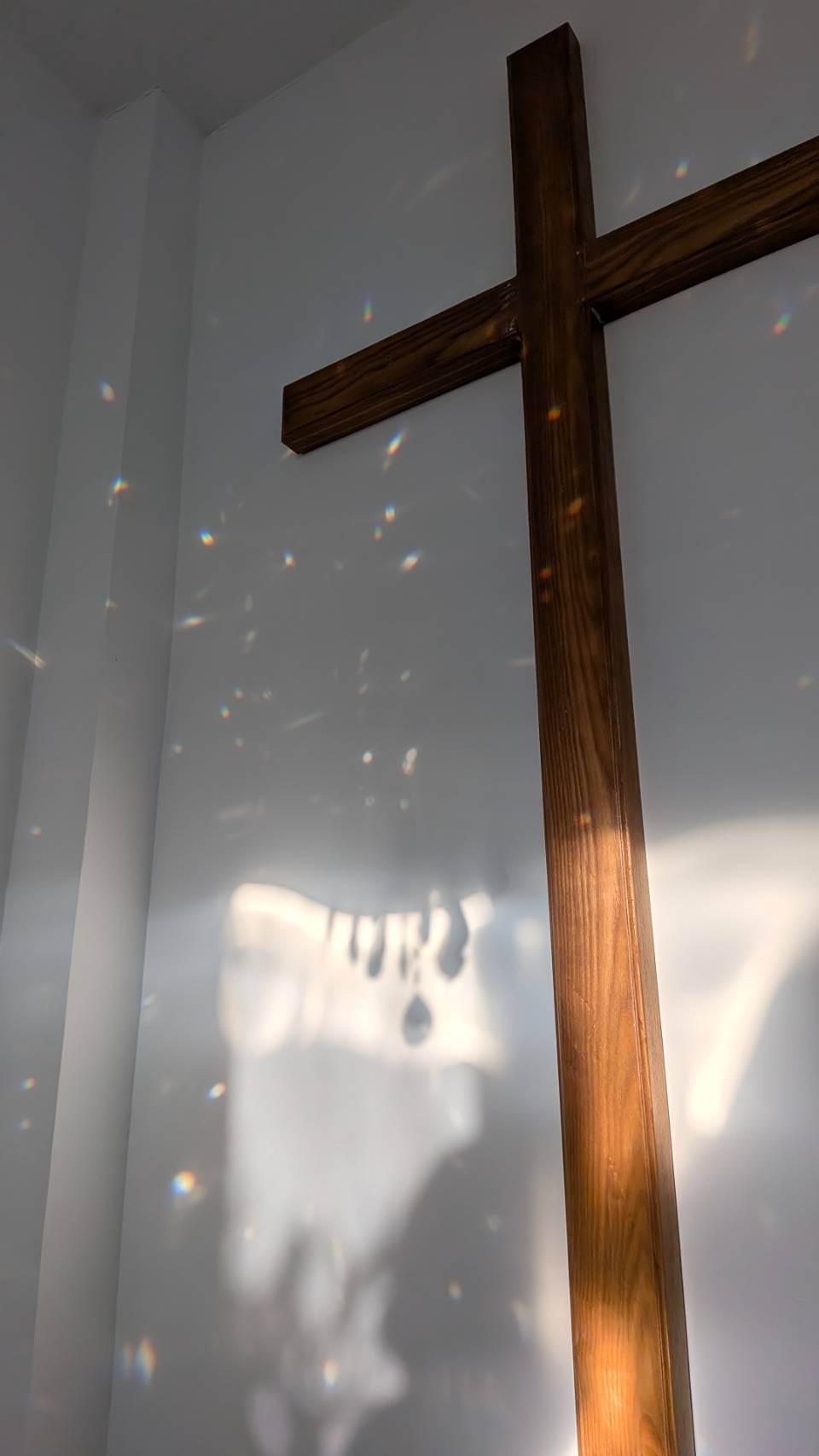 吃到AI垃圾/AI slop了嗎? 封面圖