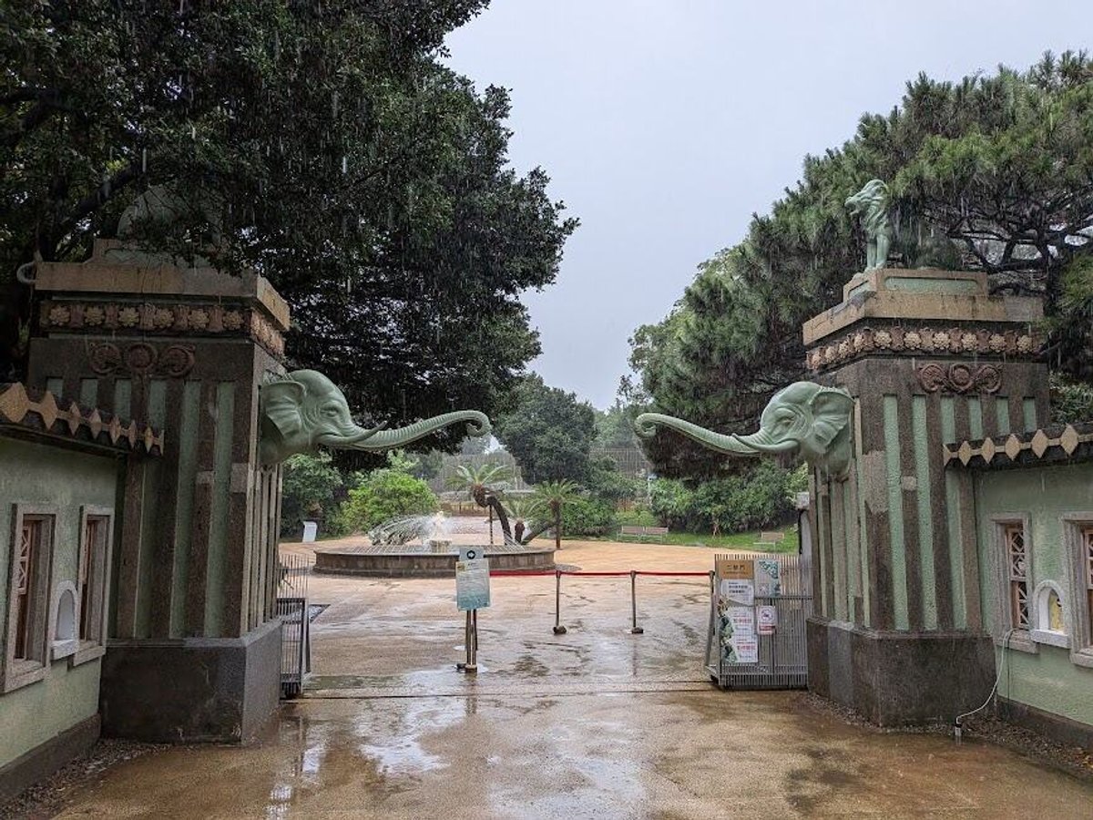 (動物園二號門，看這二頭象的臉，很不好惹)