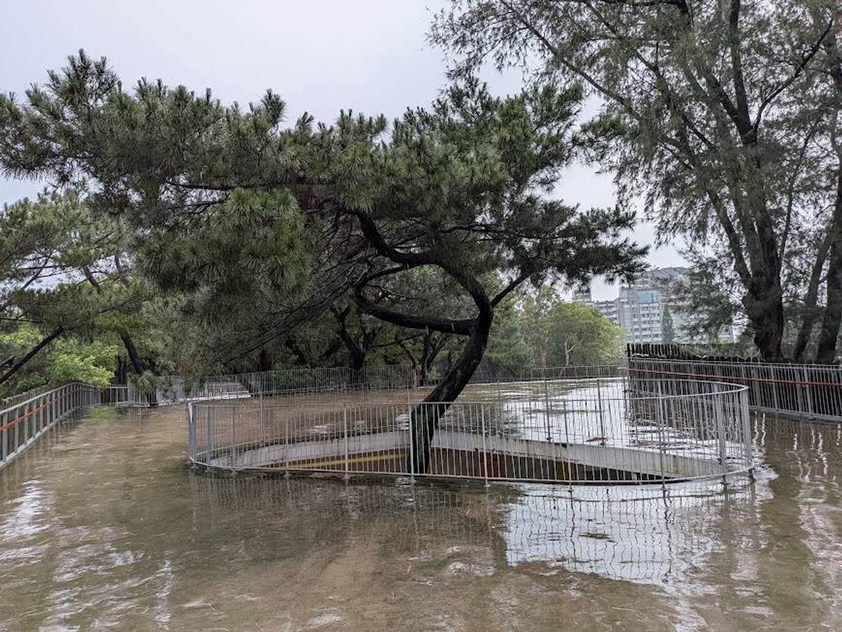 (一進動物園會看到大圓環，正下方是廁所)
